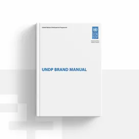 Undp